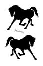 images of black silhouettes of two running horses Royalty Free Stock Photo